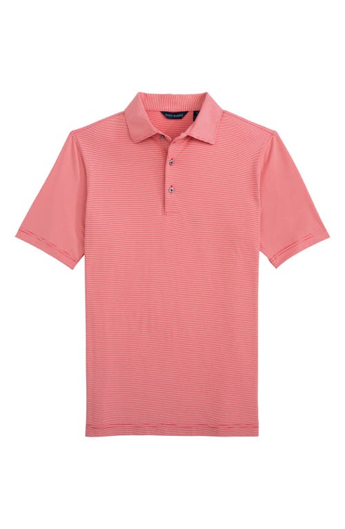 Scott Barber Micro Stripe Performance Polo In Pink