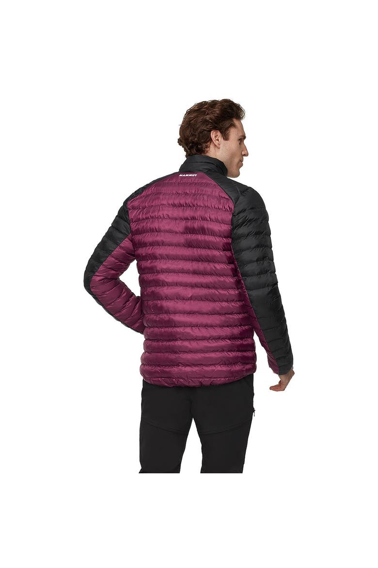 Albula In Jacket - Men's, Alternate, color, Vin/Black