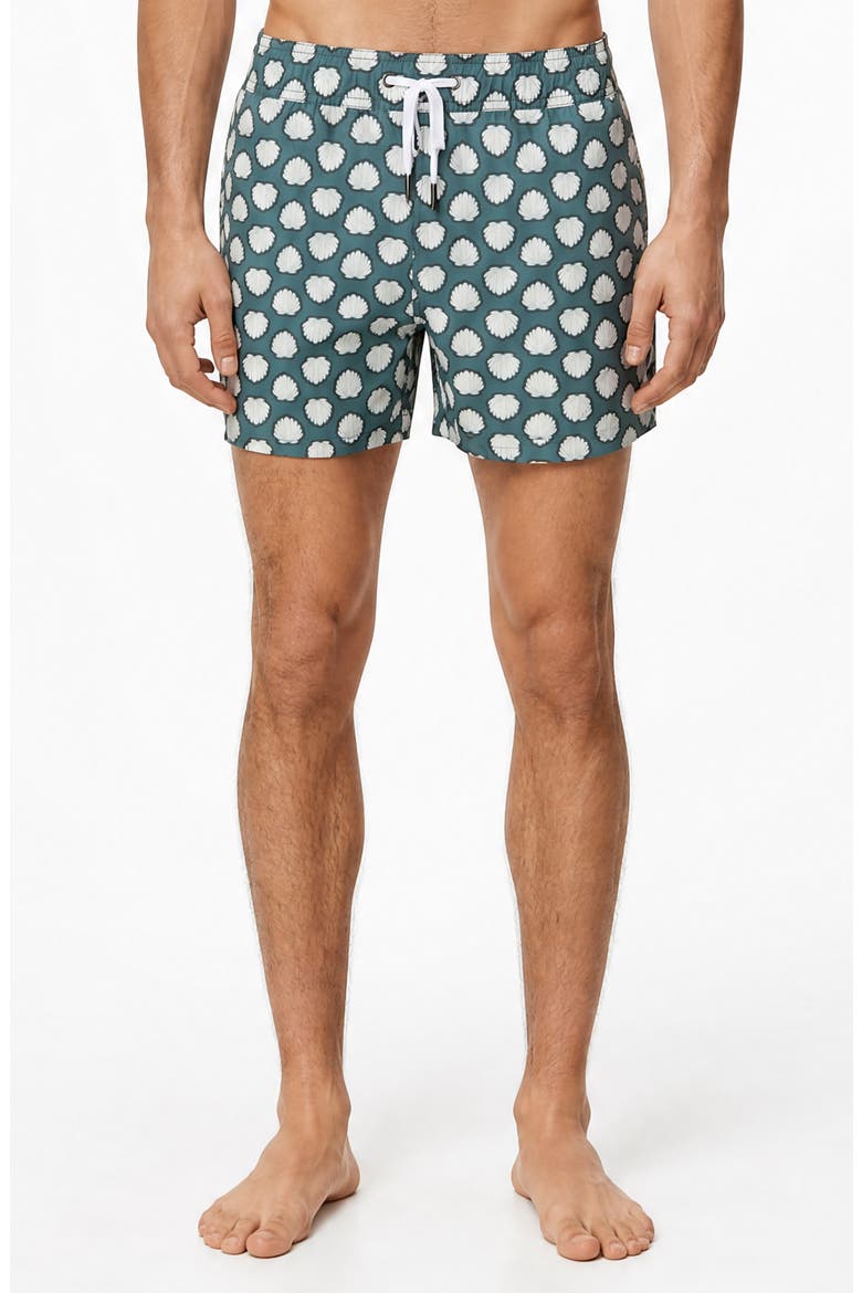 Stretch Volley Swim Trunks, Alternate, color, IVY MULTI