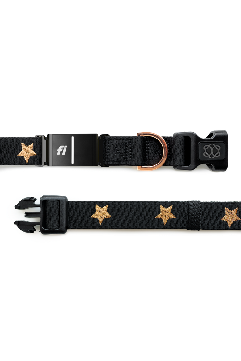 Rockstar 3+ Collar Band, Alternate, color, Large