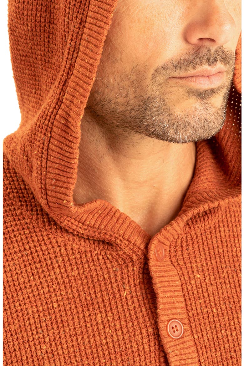 Trim Fit Waffle Knit Henley Hoodie, Alternate, color, MONARCH