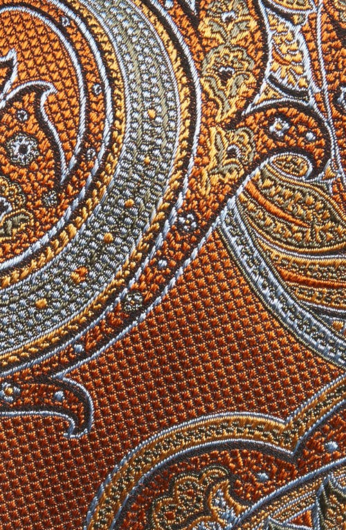 Nordstrom Paisley Silk Tie In Multi