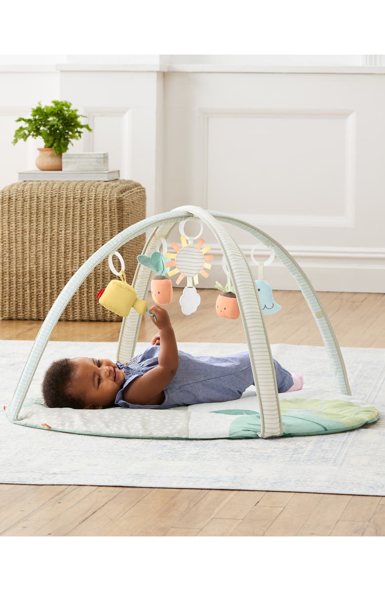 Skip Hop Garden Oasis Activity Gym, Alternate, color, Multi
