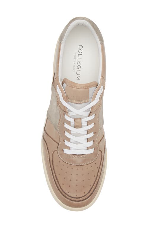 Collegium Pillar Destroyer Ii Sneaker In Brown