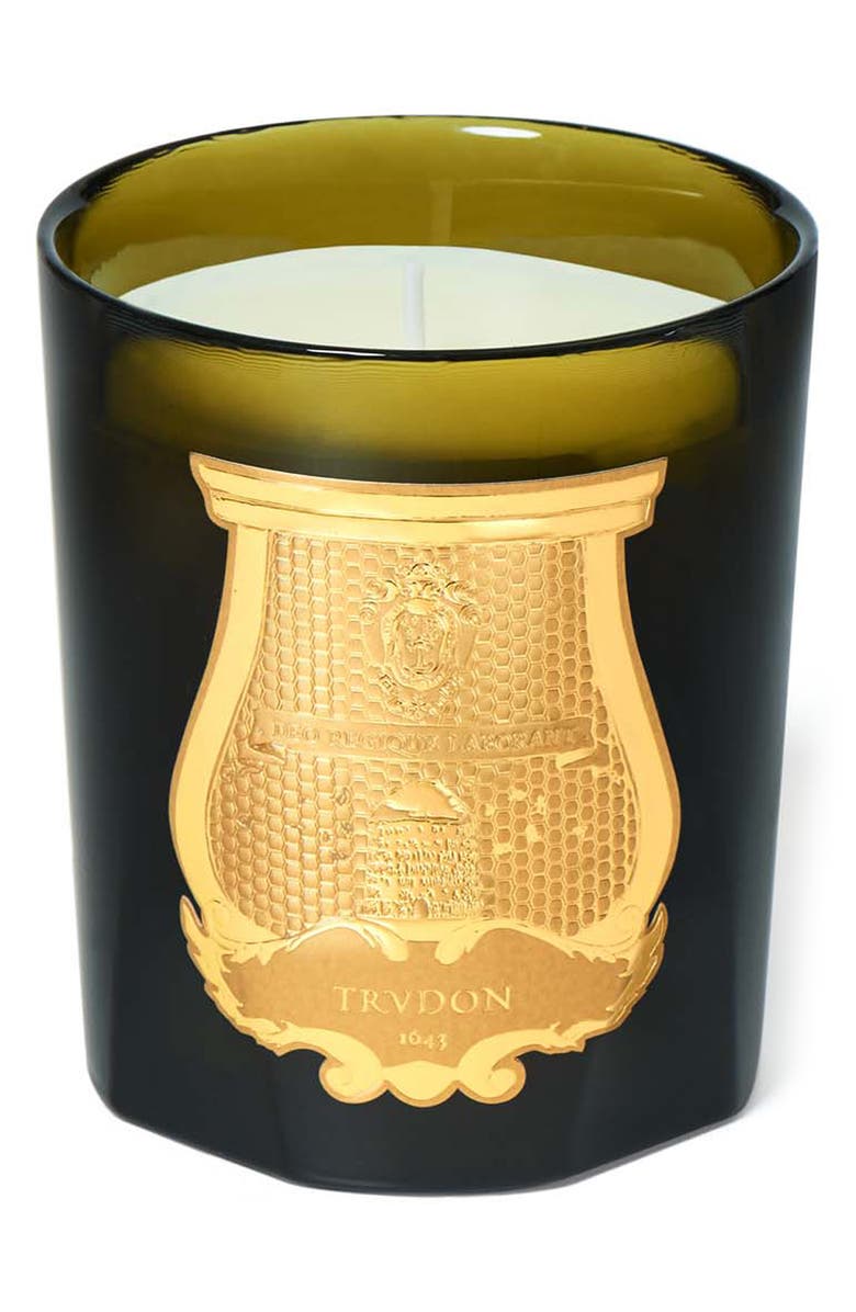 Trudon Madeleine Floral Leather Classic Candle, Main, color, 