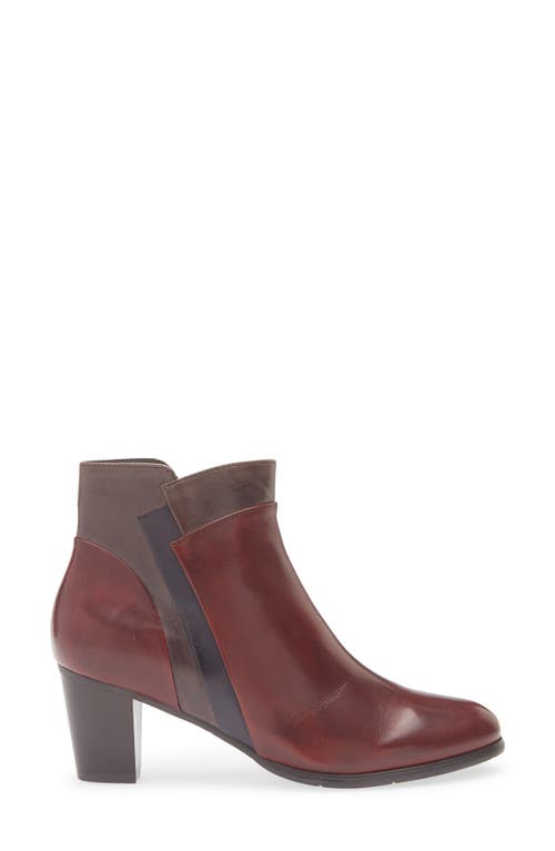 Regarde Le Ciel Sonia Bootie In Brown