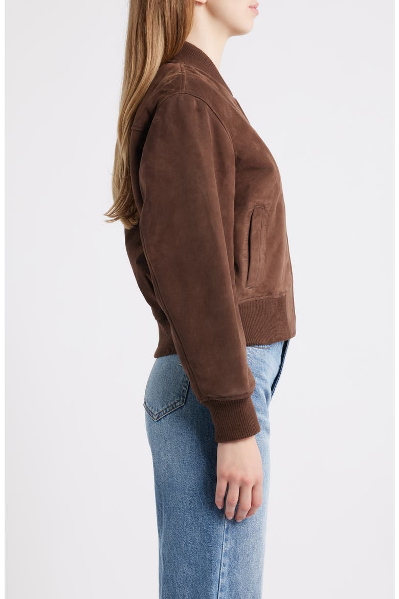 Suede Bomber Jacket, Alternate, color, BROWN