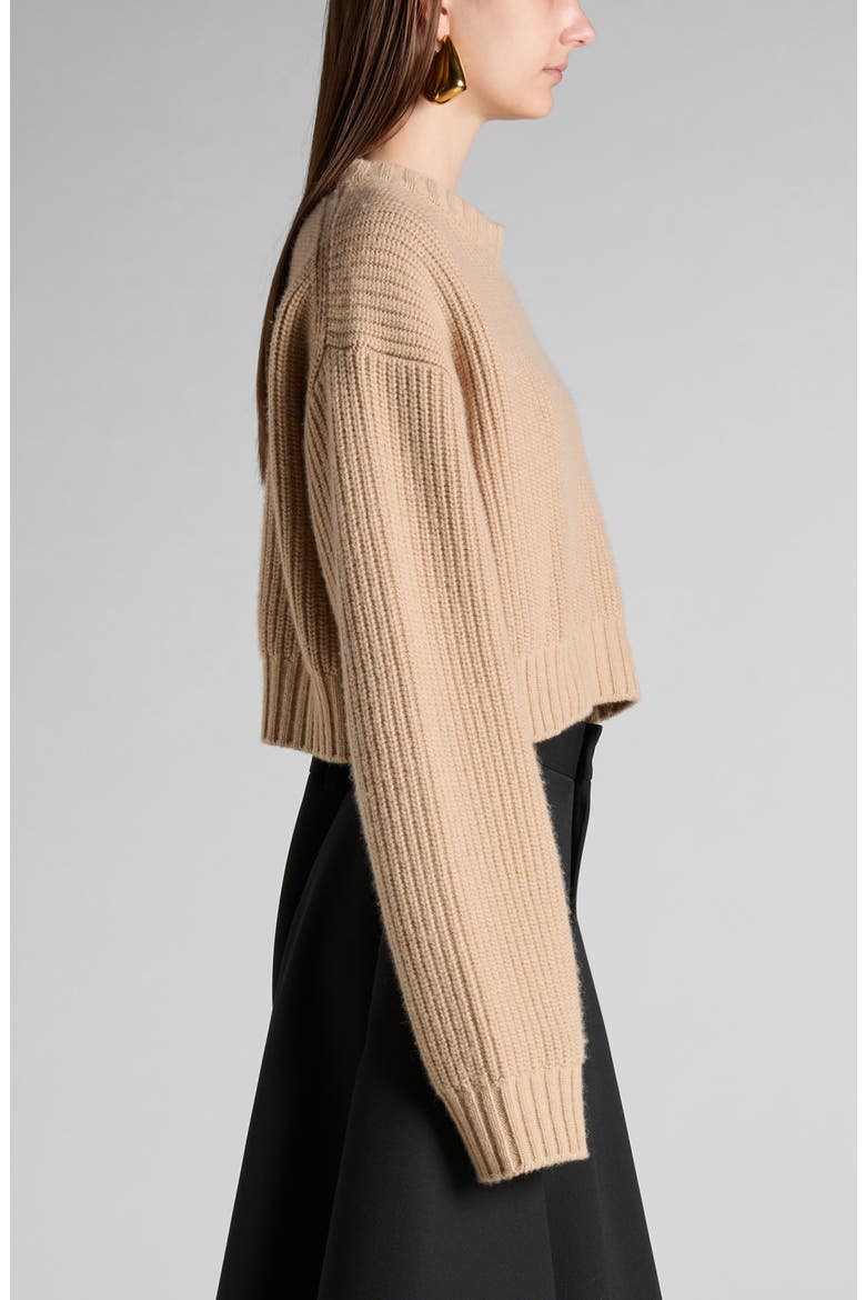 Oversize Wool & Cashmere Rib Crop Sweater, Alternate, color, 9734 DESERT