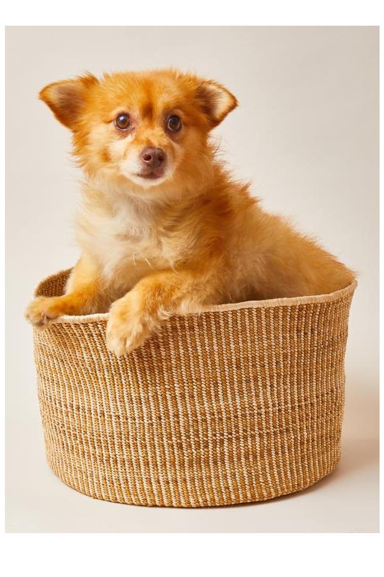 Banana Leaf Floor Basket in Mixed Natural, Alternate, color, Natural