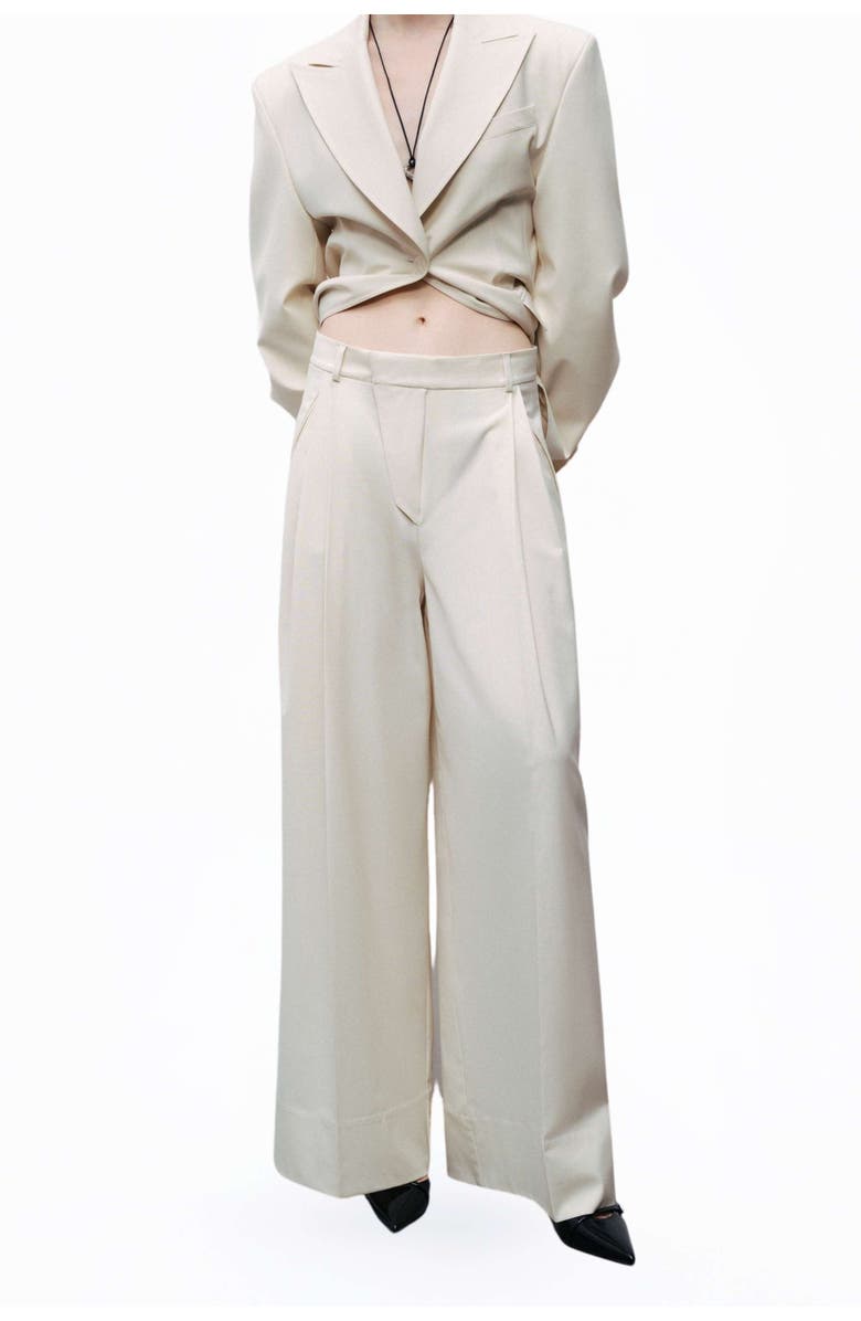 Nocturne Asymmetric Placket Detail Pants, Main, color, 