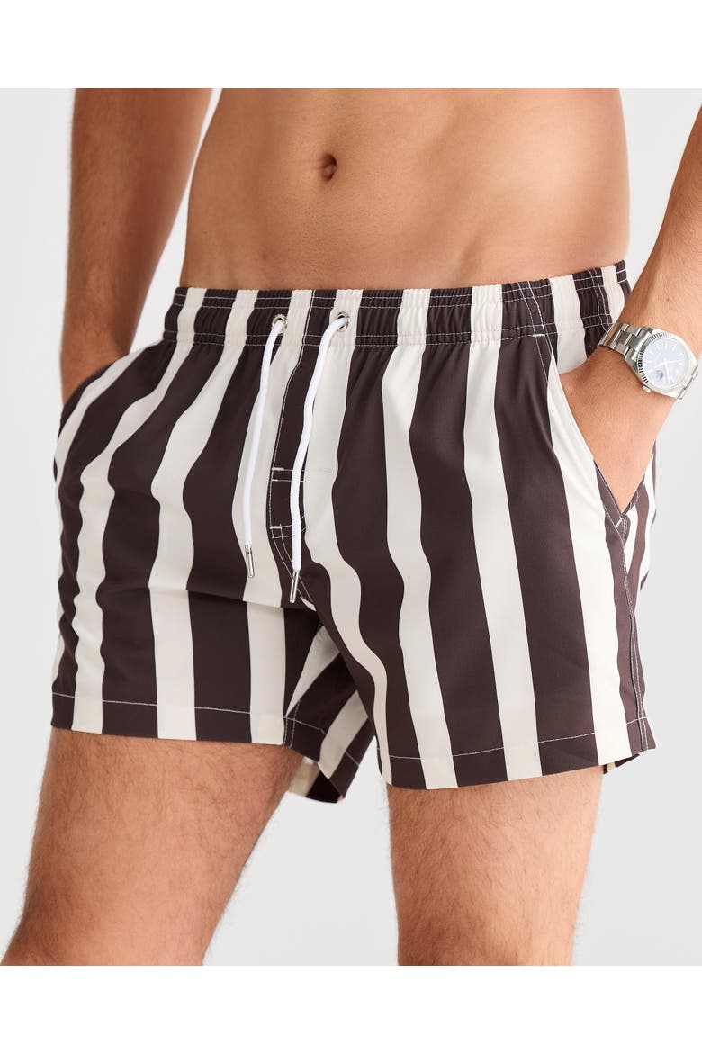 Faro Stretch Swim Short, Alternate, color, Brown & White Thick Stripe
