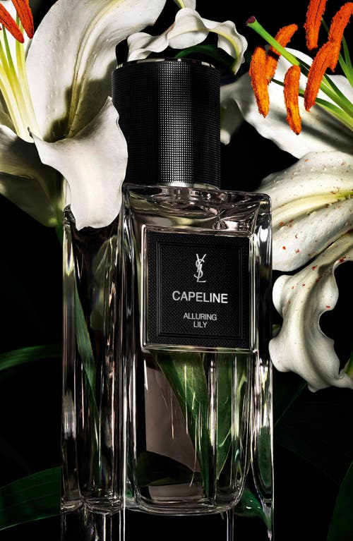 Saint Laurent Yves  Capeline In Transparent