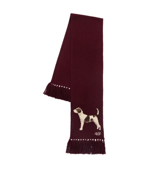 jack russel scarf
