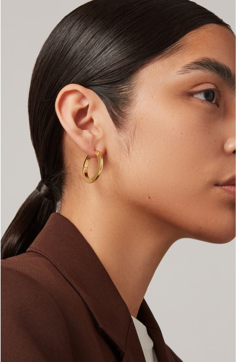 JENNY BIRD Toni Hoop Earrings, Alternate, color, 