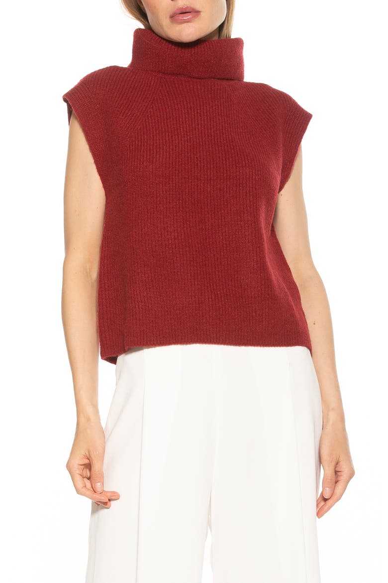 Jaylani Sleeveless Turtleneck Sweater, Main, color, BURGUNDY