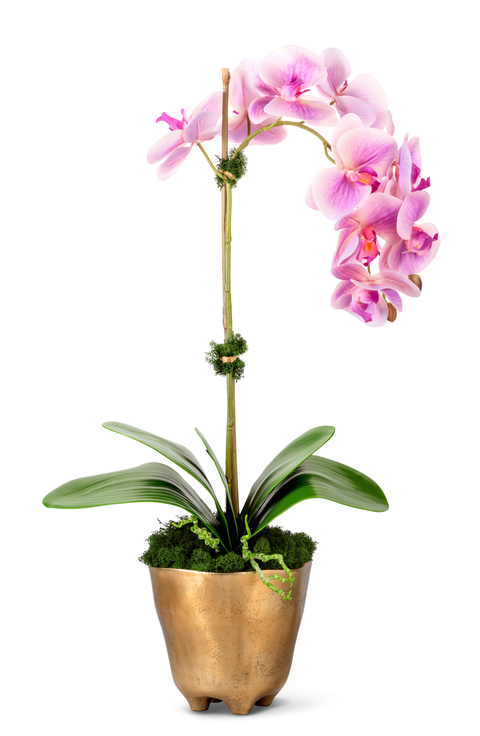 Axel RealTouch Orchid Arrangement
