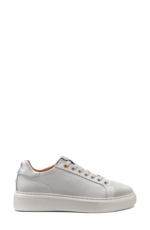 Samuel Hubbard Sunset Sneaker In Brown