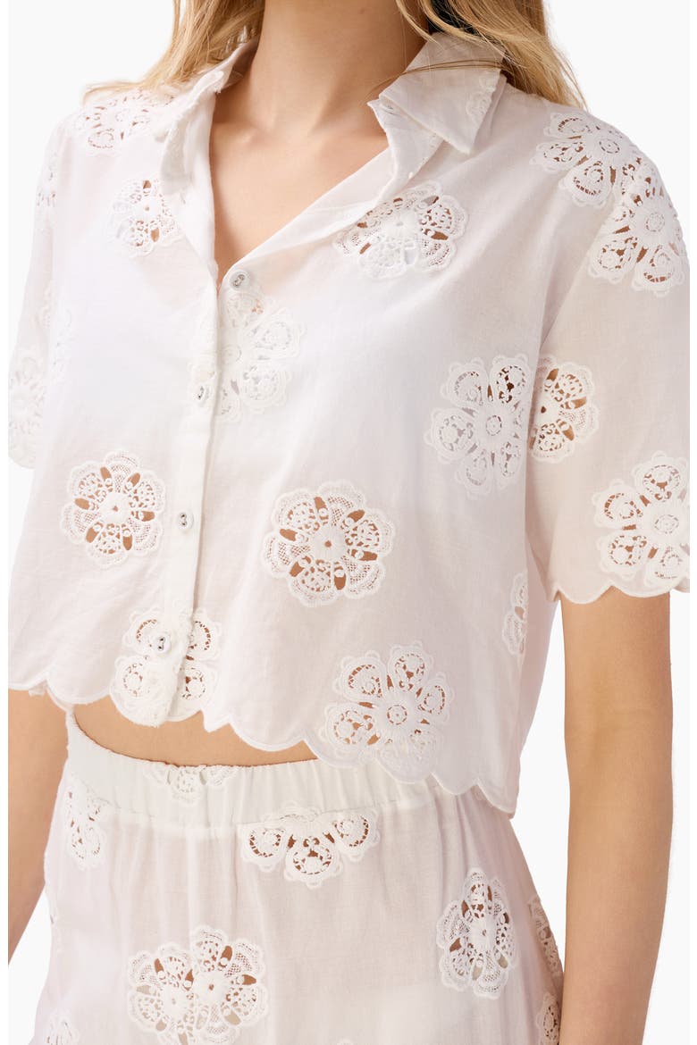 Xana Floral Embroidery Woven Crop Top, Alternate, color, MACADAMIA