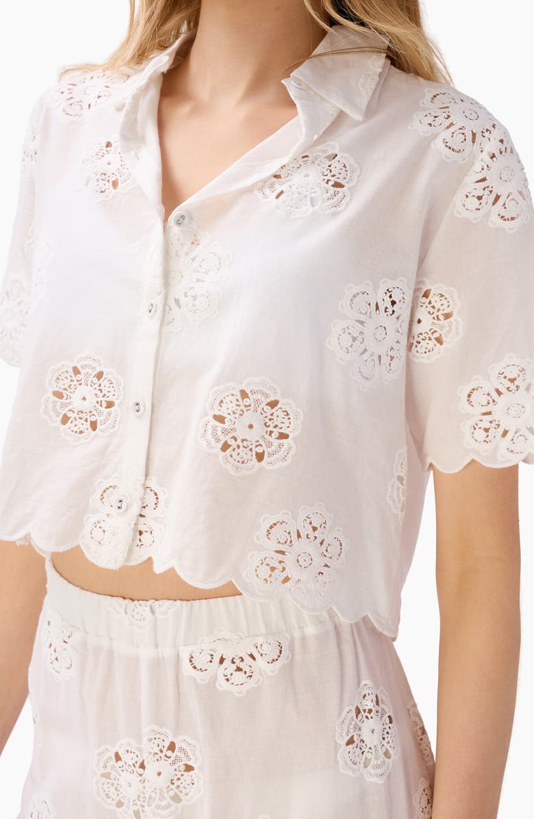 CAMI NYC Xana Floral Embroidery Woven Crop Top, Alternate, color, Macadamia