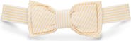 Hope & Henry Kids' Classic Seersucker Bow Tie