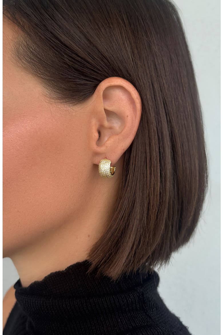 14k Gold Plated Cubic Zirconia Chubby Huggie Hoop Earrings, Alternate, color, GOLD
