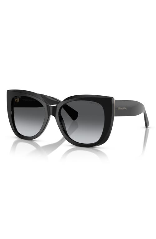 Tiffany & Co . 55mm Polarized Gradient Square Sunglasses In Black