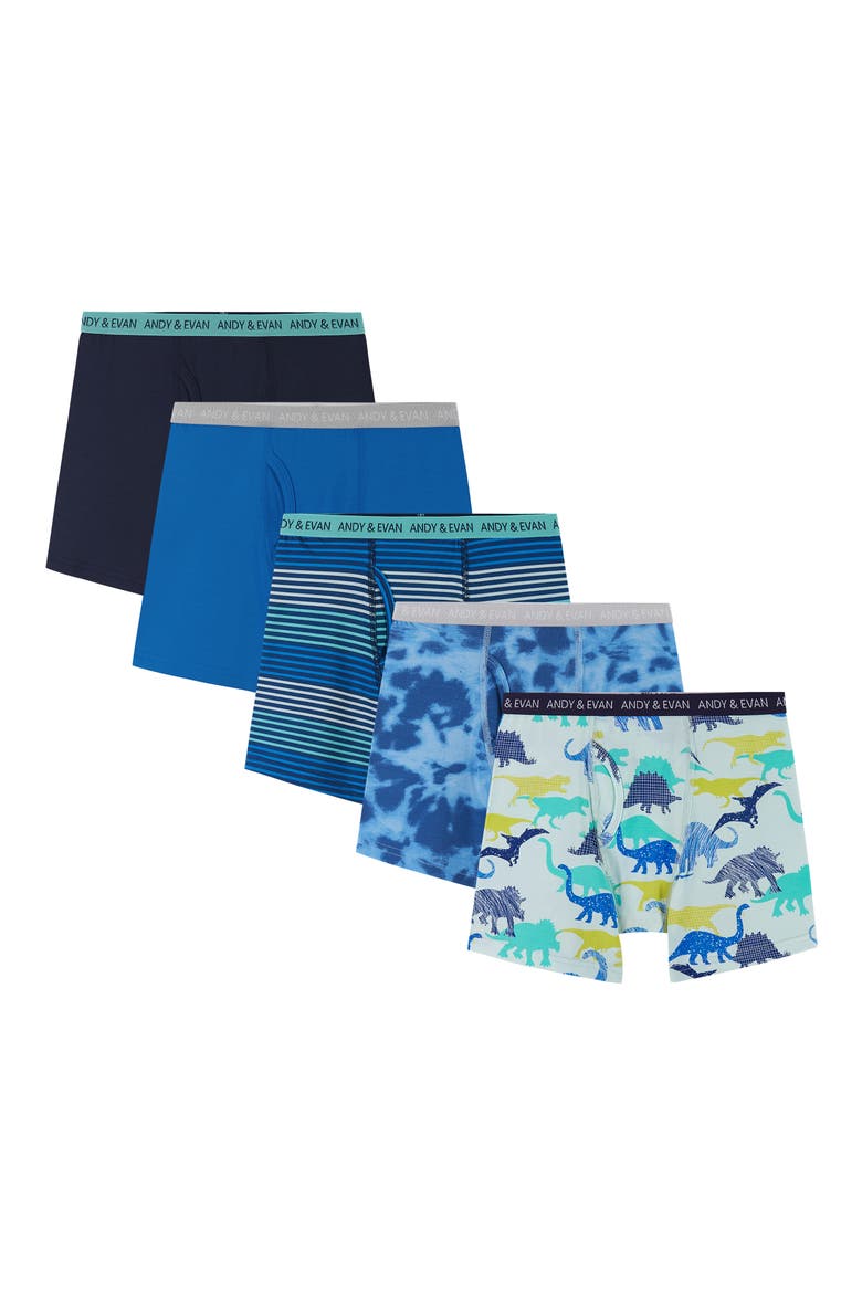 Kids' Assorted 5-Pack Boxer Briefs, Main, color, BLUE DINO