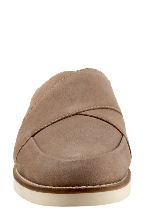 Softwalk ® Wessex Mule In Taupe Nubuck