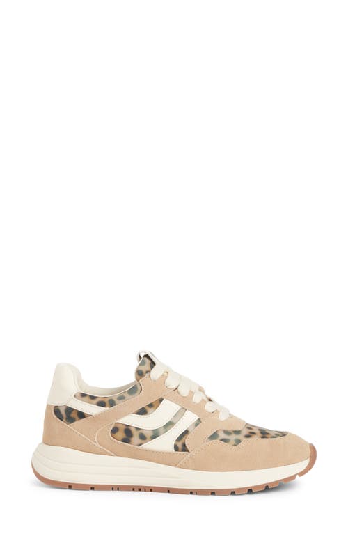 Steve Madden Blume Mixed Media Sneaker In Animal Print