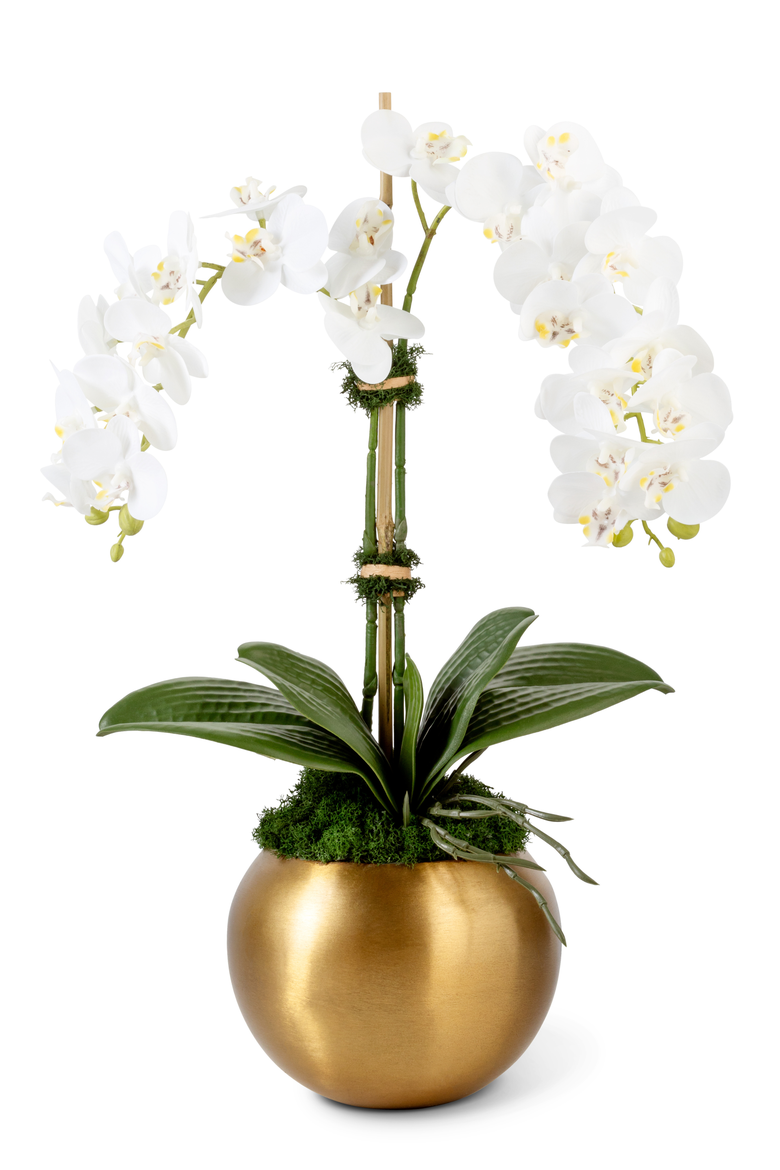 Adeline Gold RealTouch Orchid, Main, color, Snow