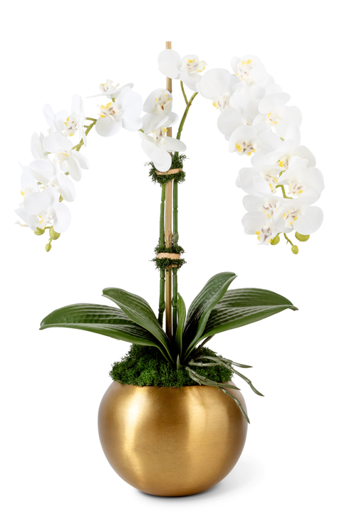 Adeline Gold RealTouch Orchid