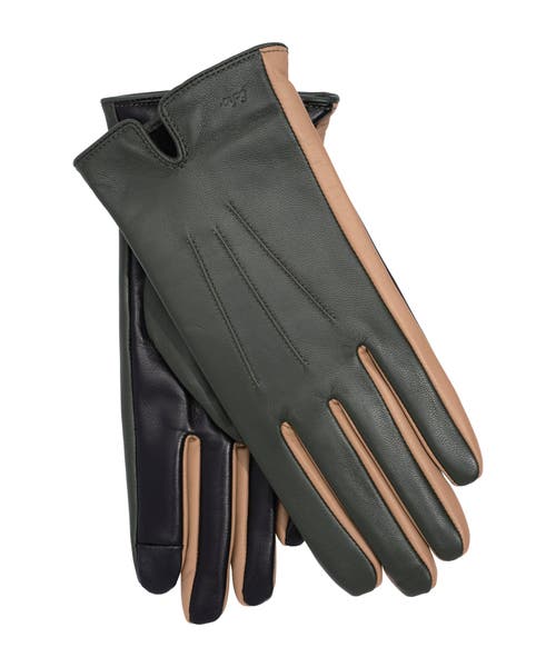 Echo Colorblock Leather Glove In Green
