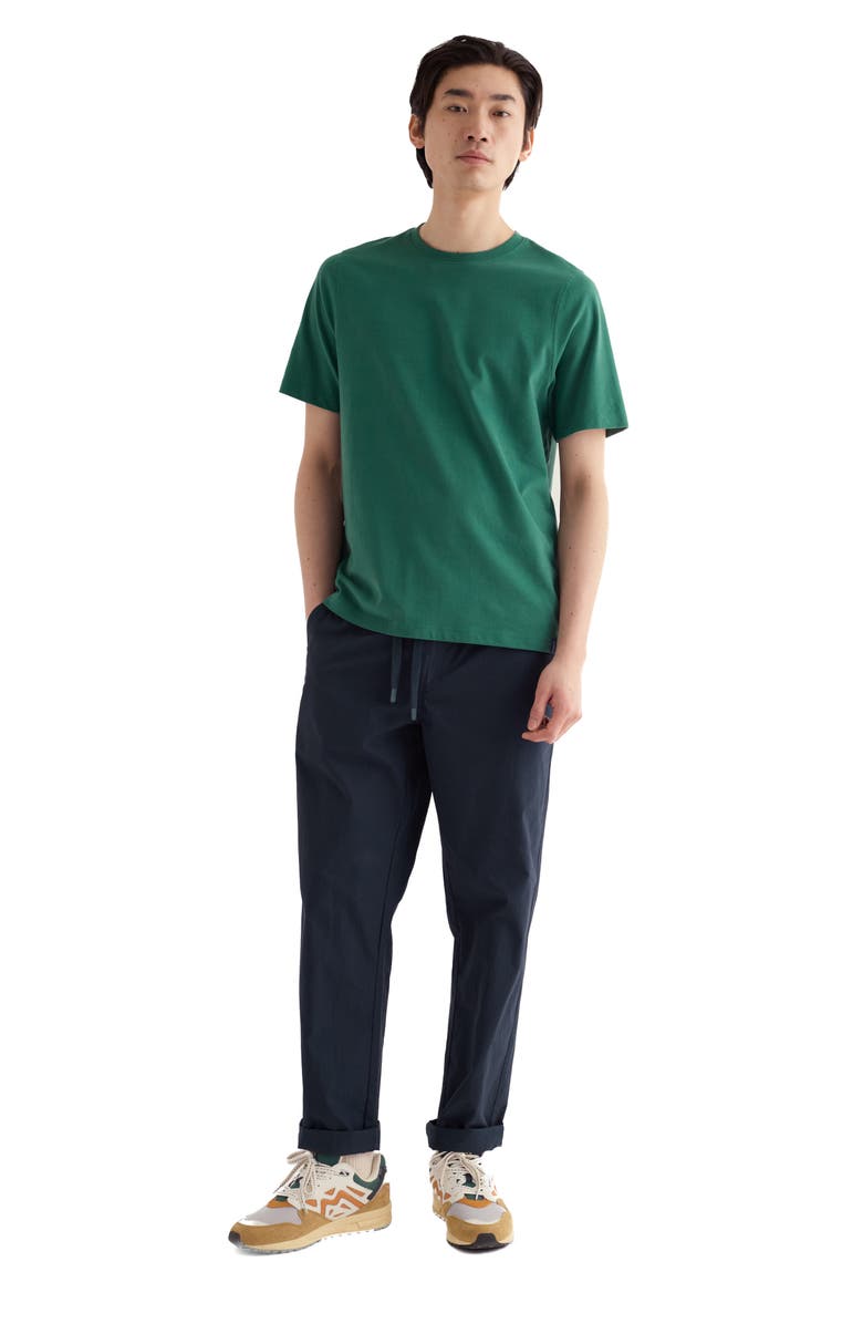 Seasalt Cornwall Merthen T-Shirt, Alternate, color, Ruscus Leaf
