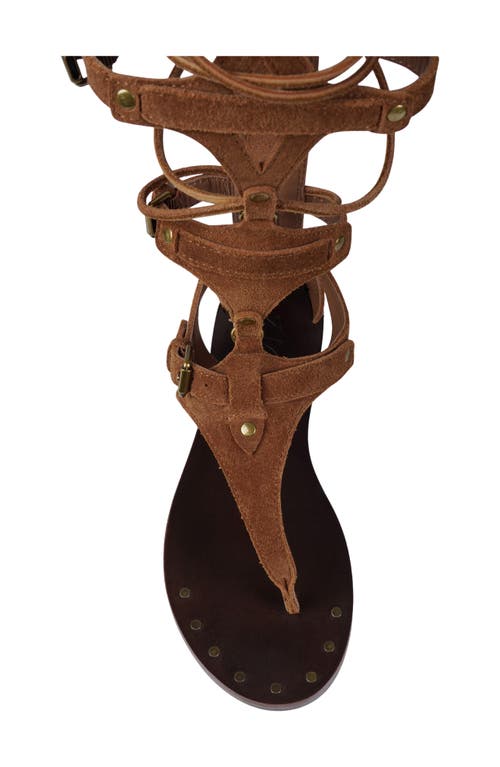 Zigi Lester Gladiator Sandal In Brown