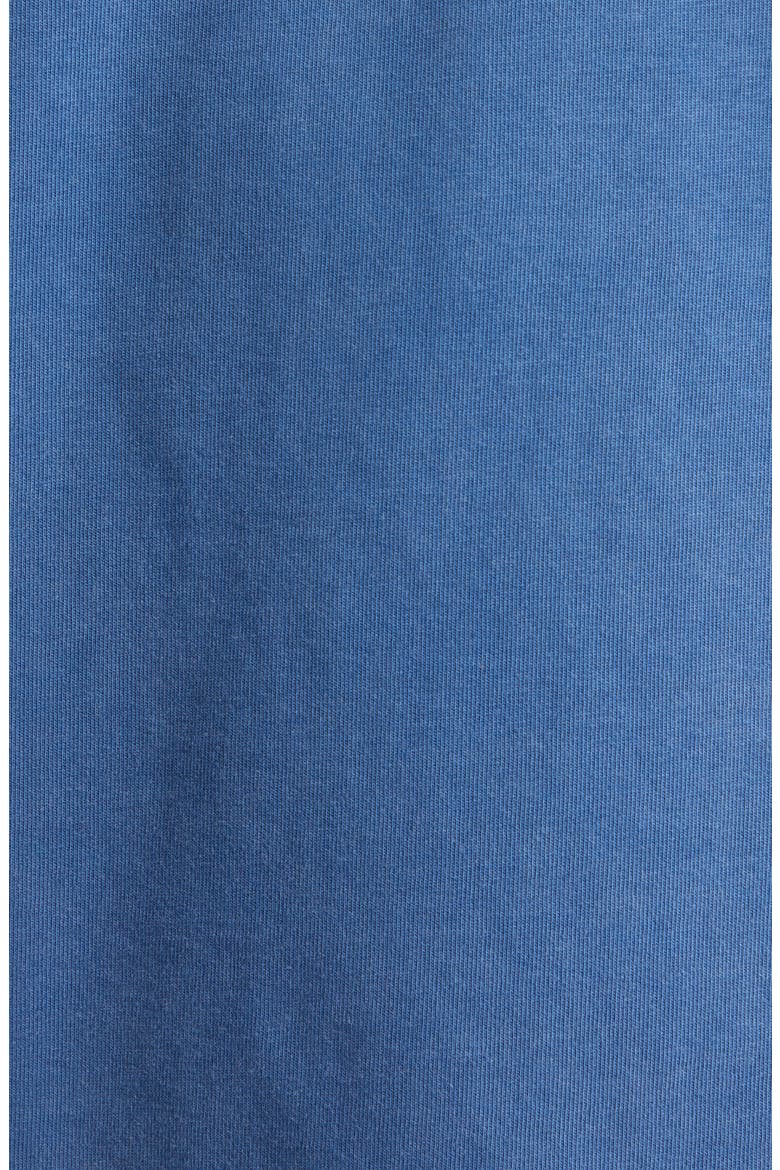 Peeking Frog Graphic T-Shirt, Alternate, color, MID BLUE