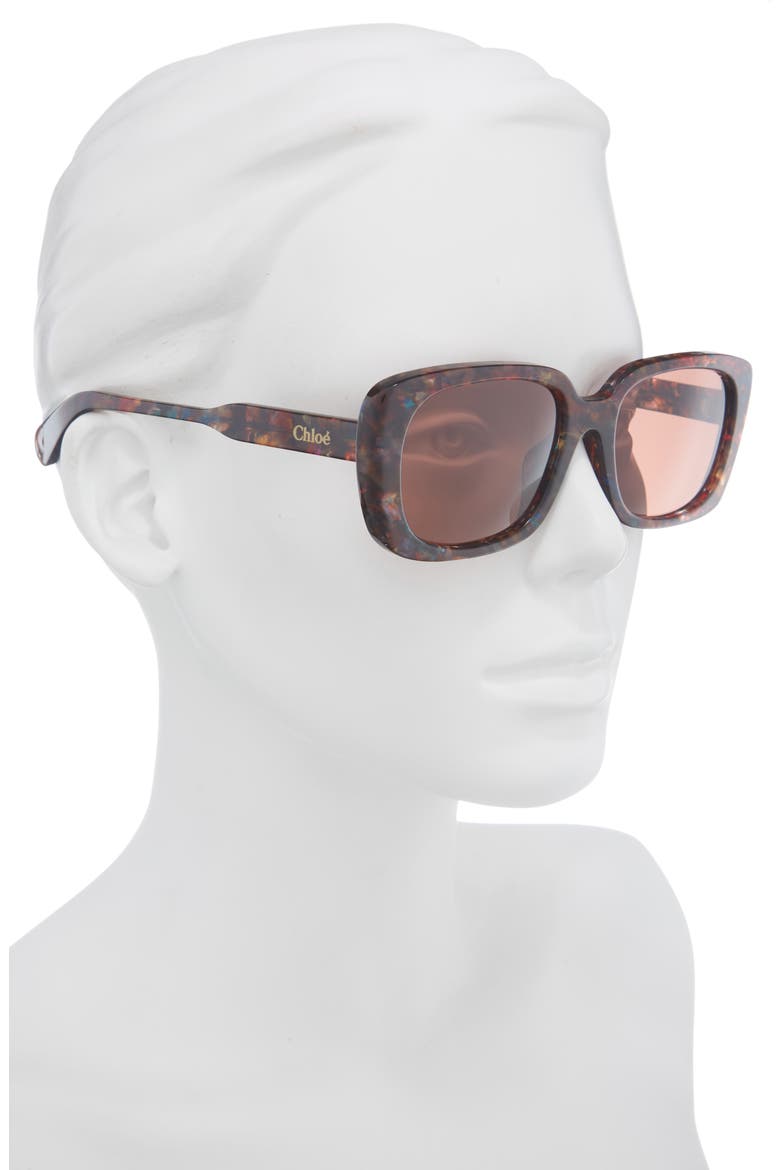Rectangular Sunglasses, Alternate, color, HAVANA HAVANA BROWN