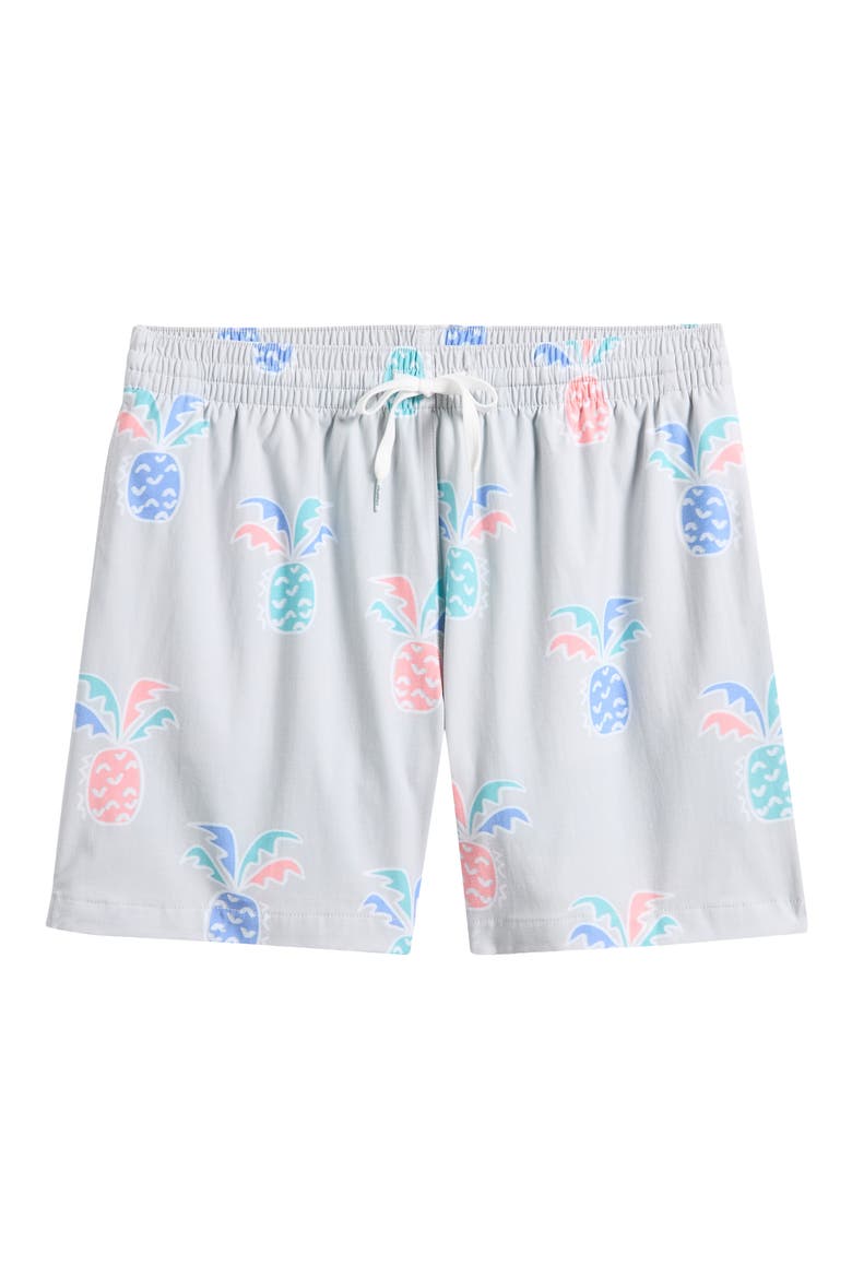 Prickle Down Economics Swim Trunks, Main, color, LIGHT/ PASTEL GREY