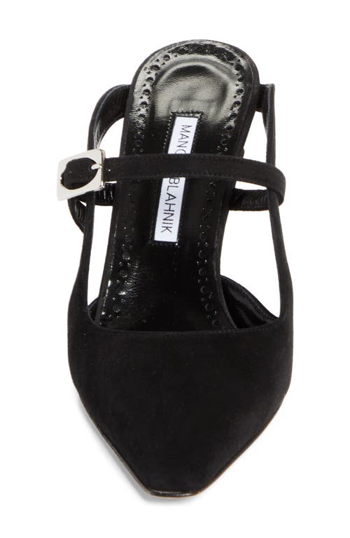 Manolo Blahnik Okos Pointed Toe Pump