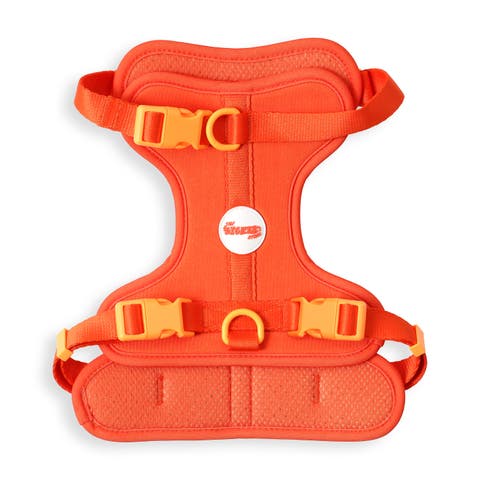 Arlo Adjustable Soft Padded No Pull Pet Harness with 3 Buckles and 3 Leash Clips
