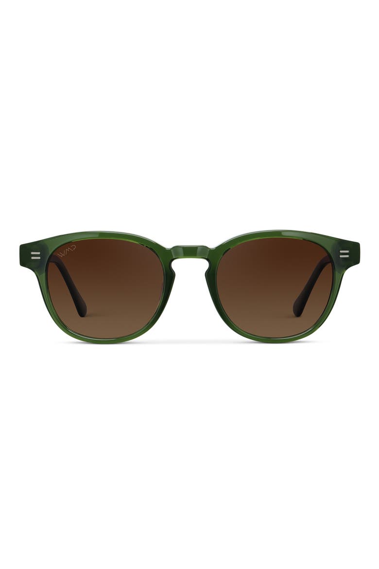 Felix - 48mm Round Polarized Sunglasses, Main, color, Jade Green