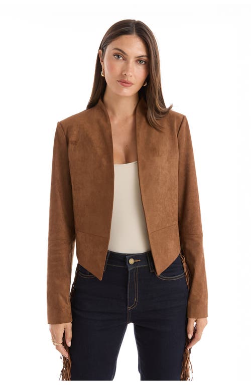 The Noli Shop Yasmin Suede Jacket In Multi