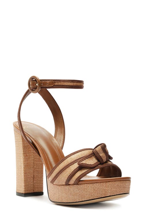 Alexandre Birman Clarita Bow Grosgrain Raffia Platform Sandal in Espresso/Dark Brown 