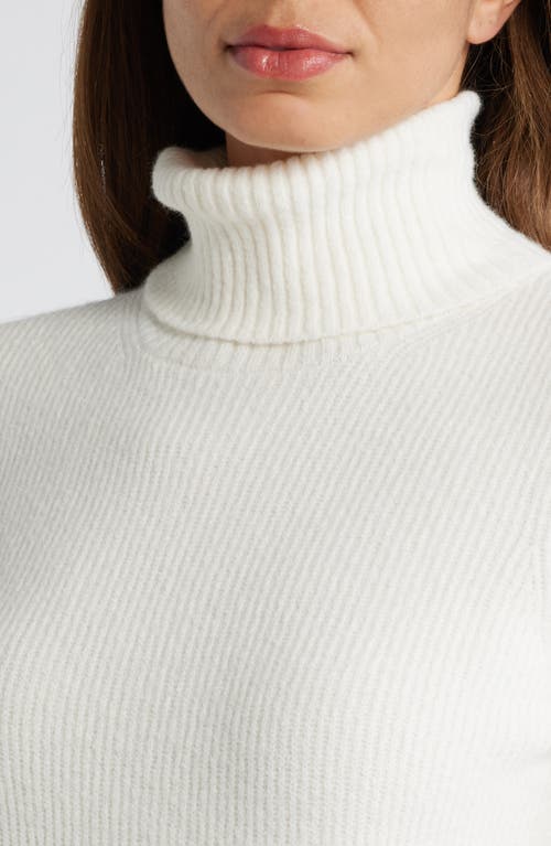 CASLON CASLON® RIB TURTLENECK SWEATER