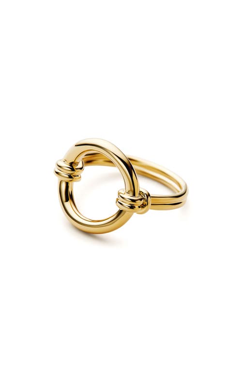 Ana Luisa Remi Open Circle Ring In Gold