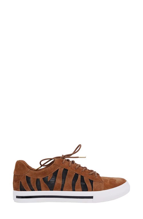 L'amour Des Pieds Keaton Mesh Cutout Platform Sneaker In Coffee/black