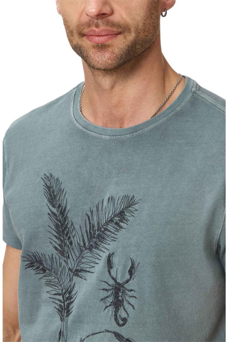 Skull & Scorpion Embroidered Organic Cotton T-Shirt, Alternate, color, FOG