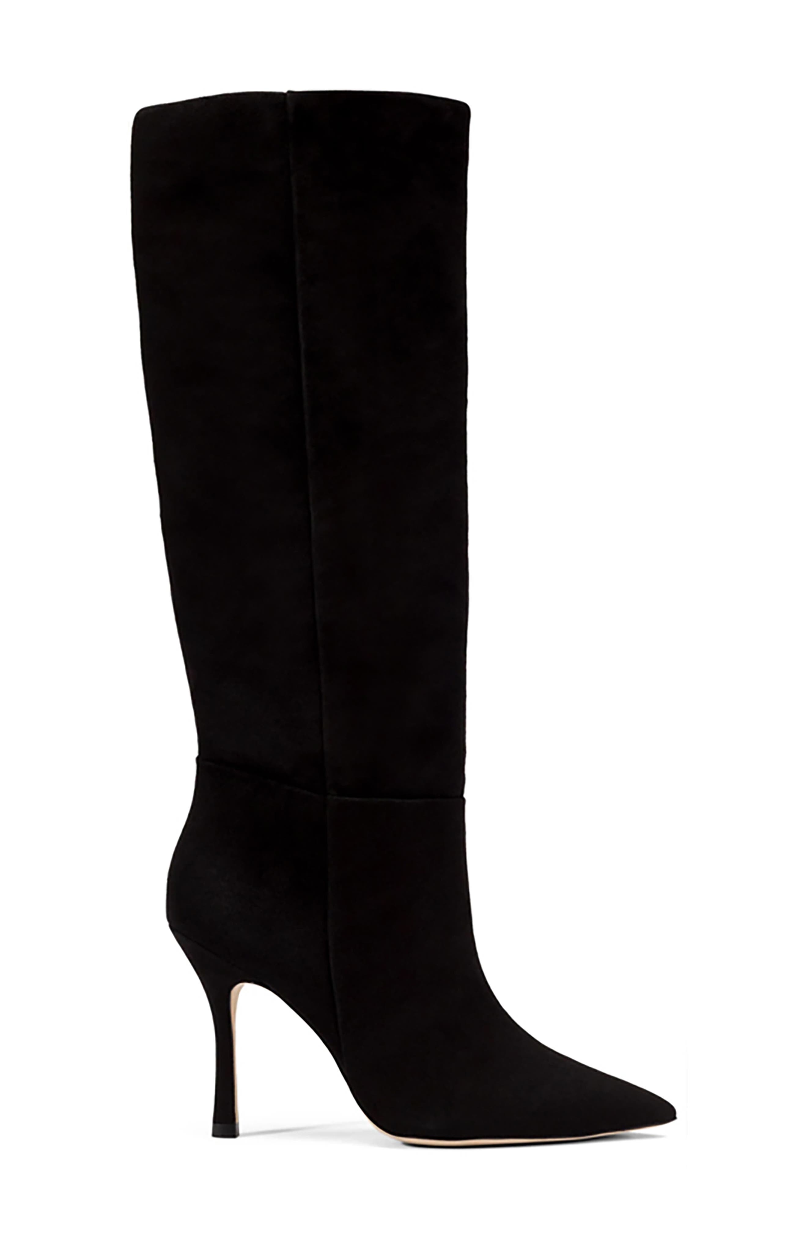 Kate Pointed Toe Knee High Boot, Alternate, color, BLACK