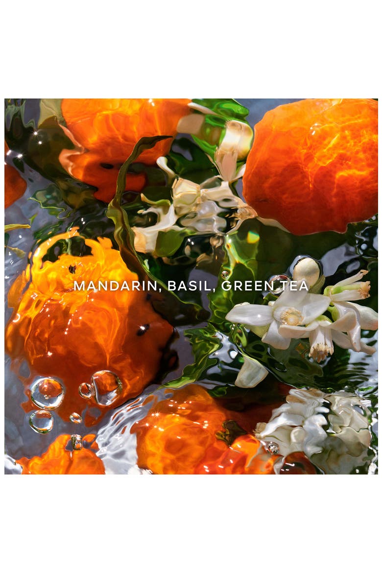 Aqua Allegoria Mandarine Basilic Eau de Toilette Gift Set (Limited Edition) $208 Value, Alternate, color, NO COLOR