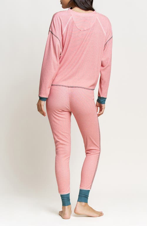 Honeydew Back In Pink