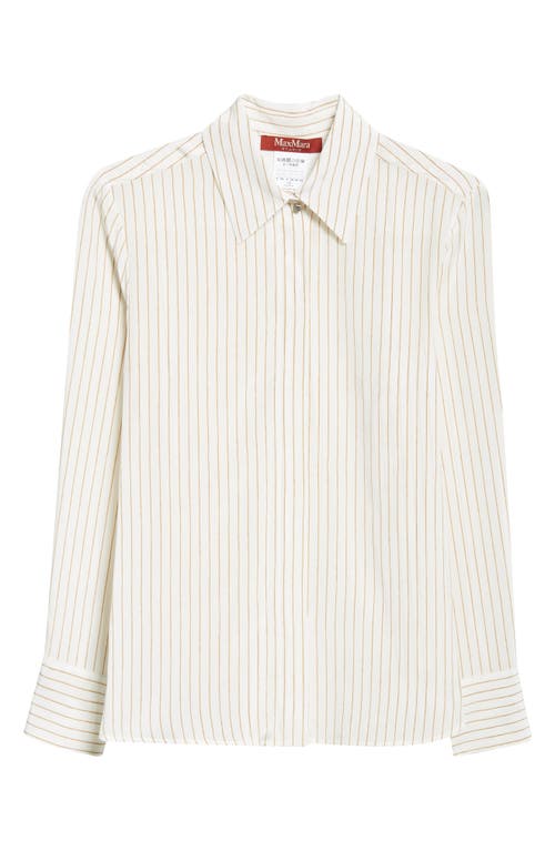 Max Mara Studio Lama Stripe Silk Crêpe De Chine Button-up Shirt In Tawny